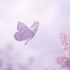 Update information for camille beck ». Camille Mary Beck S Online Memorial Obituary Keeper