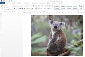 3 Cara Syuper Kilat Mengubah Jpg Ke Pdf No Software Pakar Dokumen