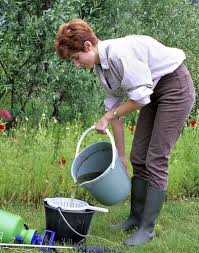 Jardiner Avec La Lune En Septembre 2020 Consoude Purin Ortie Calendrier Lunaire