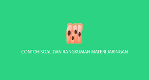 Check spelling or type a new query. Contoh Soal Struktur Dan Fungsi Jaringan Kelas Xi Mipa Sma Dengan Tingkat Taksonomi Bloom Eureka Pendidikan