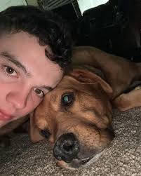 Sully (@sullivan_lewis) • Instagram photos and videos