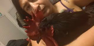 Who can catch a rooster in Sacramento?