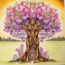 The artist edition is fantastic. Enchanted Forest Drawing Book Novocom Top