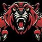 South Pointe Girls JV Basketball @ Rock Hill event image