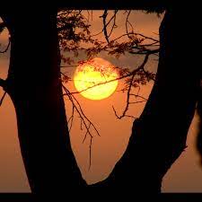 Share your videos with friends, family, and the world Alfred Cheruiyot Youtube