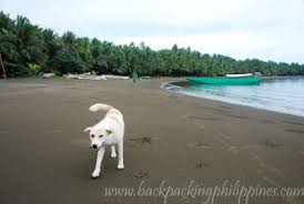 Louise theunis, 22, representing carrascal, surigao del sur. Backpacking Philippines The Brown Sand Bonot Beach Of Carrascal Surigao Del Sur