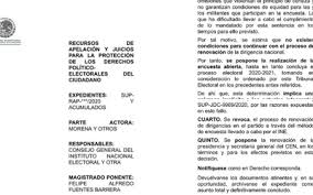 Check spelling or type a new query. Tepjf Preve Postergar La Eleccion De Morena Hasta 2021 El Sol De Mexico Noticias Deportes Gossip Columnas