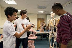 Choose something you do like to major in and make sure you do the pre req classes for the dental schools you are interested in. How To Become A Dentist Bellerbys College