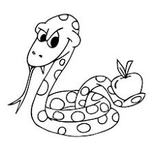 Explore 623989 free printable coloring pages for you can use our amazing online tool to color and edit the following snake coloring pages. Top 25 Free Printable Snake Coloring Pages Online