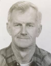 Herbert E. Traub Obituary