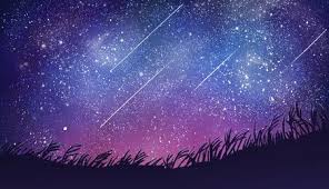 pure beautiful starry grass background in 2021 grass background romantic background backdrops backgrounds