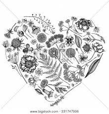~ right click to save off, personal use only, please! Heart Floral Design Vector Photo Free Trial Bigstock