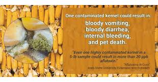 If you would like to help support the pet food advocacy work of truthaboutpetfood.com and be provided assistance in selecting a quality pet. Surge Of Pet Deaths Linked To The Most Common Pet Food Ingredient