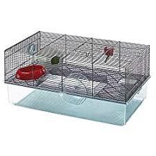 Some bunnies are better than others, but when the hoppy child is exploring the house, make sure to hide all of your chargers and wires, because they'll snap them in. Easy Pets To Take Care Of In College 7 Perfect College Student Pets Hutch And Cage