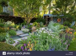 Download This Stock Image Dense Planting In The Morgan Stanley Garden Designed By Chris Beardshaw At The Rhs Ch Chelsea Flower Show Chelsea Flower Flower Show