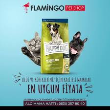 flamingo pet shop home facebook