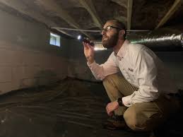 If your home has termites, you need termite control fast. Pest Control Absolute Pest Solutions Llc