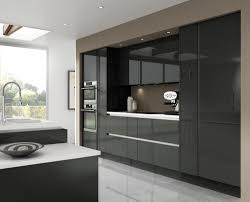 Luna Gloss Dark Grey Really Shows Off A Stylish Modern Kitchen Http Www Moores Co Uk Definitiv Handleless Kitchen Contemporary Kitchen Grey Kitchen Designs