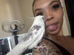 Lost Deaf Dalmatian in Crystal River, Florida