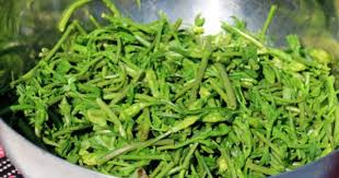 De L Opportunisme D Une Salade Cuisine Sauvage Plantes Sauvages Comestibles Plantes Comestibles