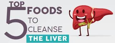 These herbs support the body's natural ability to regulate the liver functions while supporting th. Buy Dr Willmar Schwabe Alpha Liver Tonic 500 Ml Online At Best Price Homeopathy