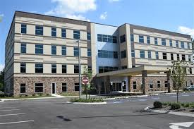 Image result for Erlangea