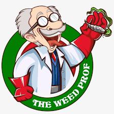 The Weed Prof Weed Scale Chart 2083x2083 Png Download