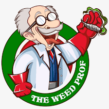 the weed prof weed scale chart 2083x2083 png download