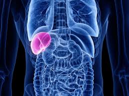 Diagnostic checklist, medical tests, doctor the following medical conditions are some of the possible causes of ruptured spleen. Spleen Removal Surgery Prep Recovery Long Term Care