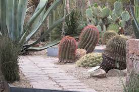 Los cactus is in san luis potosi and has an elevation of 1846 metres. Foto De Centro De Las Artes De San Luis Potosi Centenario San Luis Potosi Caminos Secretos Tripadvisor