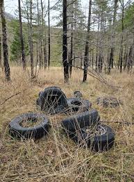 Celebration of life for Randy mar November 3rd at 3pm 52745 McKenzie Hwy.  potluck byob