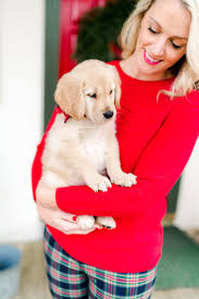 Cozy Winter Weekends Vermont Home Tour Abby Capalbo