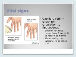 What does capillary refill mean? Primary And Secondary Survey Ppt Video Online Download