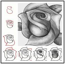 Wonderful Idea For Drawing A Beautiful Rose Drawings Drawing Tutorial Cool Drawings