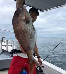 シャクッてシャクッてドスン | 天草 タイラバ 鬼池出港｜鯛ラバ亀島丸