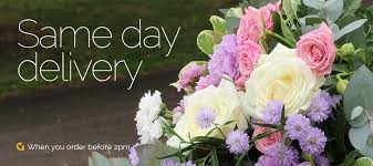 You can buy a wide selection of sympathy flowers from our online shopping catalogue available in vivid arrangements and designs like charming white or creamy. Send Sympathy Funeral Flowers Same Day In The Uk