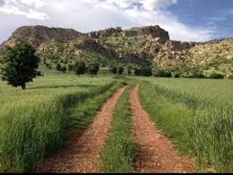 بنارێ چیایێ شابانی باتیفا Country Roads Road Country