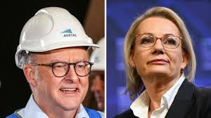 MacRobertson Girls' High School teacher saves mum, son from drowning in  Goulburn River