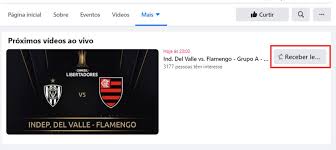 Para o jogo desta terça, o flamengo seguirá sem contar com rodrigo caio. Independiente Del Valle X Flamengo Como Assistir A Libertadores Ao Vivo Redes Sociais Techtudo