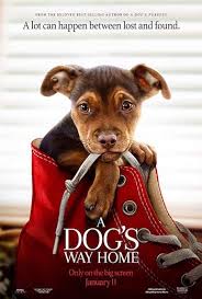 Check spelling or type a new query. 9xcinemas 300mb Movies Bollywood Movies Hindi Dubbed Films Free Download