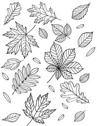 Fall leaves and acorn coloring page from fall category. Fall And Thanksgiving Coloring Pages Free Printable Cakes To Kale