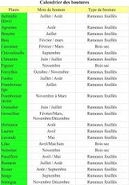 Le Calendrier Des Boutures Des Plantes Les Plus Connues Le Jardin Potager Bio Boutures Jardin Potager Potager Bio