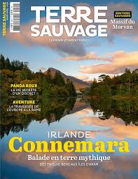 couverture de : Terre sauvage