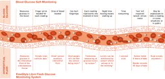 Interstitial Fluid Vs Blood Glucose Freestyle Glucose Meters