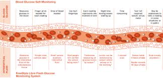 interstitial fluid vs blood glucose freestyle glucose meters