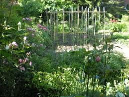 Check spelling or type a new query. A Secret Garden In Italy Finegardening