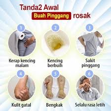 Sakit pinggang adalah keluhan yang umum dengan banyak kemungkinan penyebab. 25 Tanda2 Buah Pinggang Rosak Background Rosakgaleri