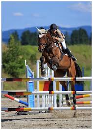 Du kannst alles springen, was dir an formen und kombinationen einfällt. M Springen 4 Foto Bild Sport Sport Mit Tieren Pferdesport Bilder Auf Fotocommunity