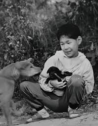 Bildergebnis für Jinsoo An