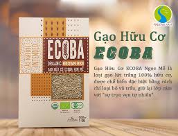 Gạo Hữu Cơ Là Gì? Mua Ở Đâu? Hiểu Rõ Để Tiêu Dùng Đúng Cách